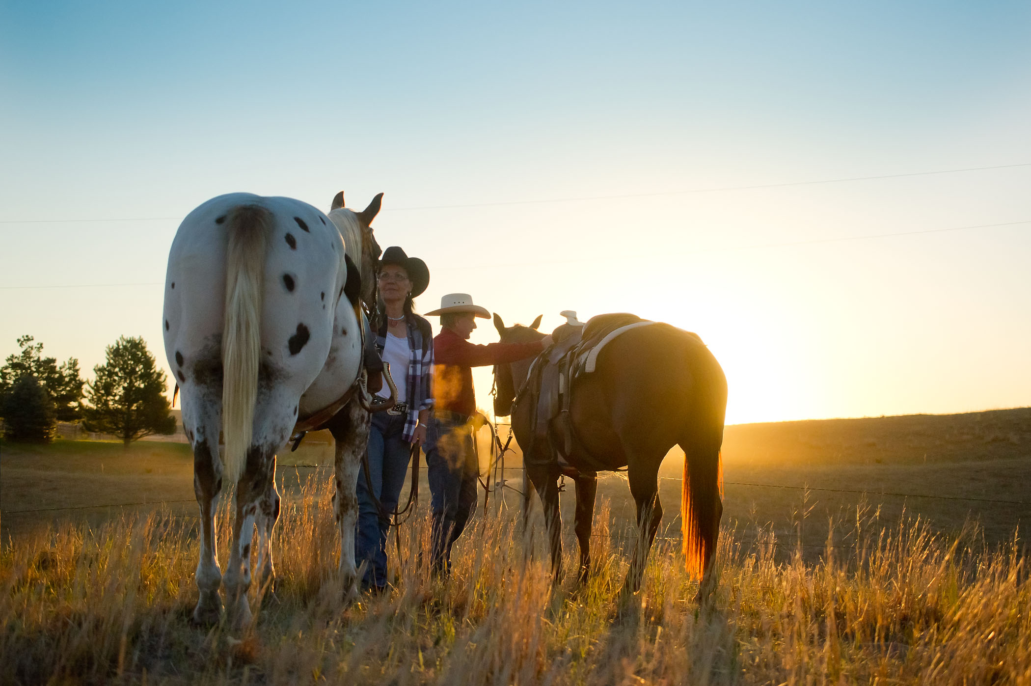 Find Nebraska horseback riding Visit Nebraska