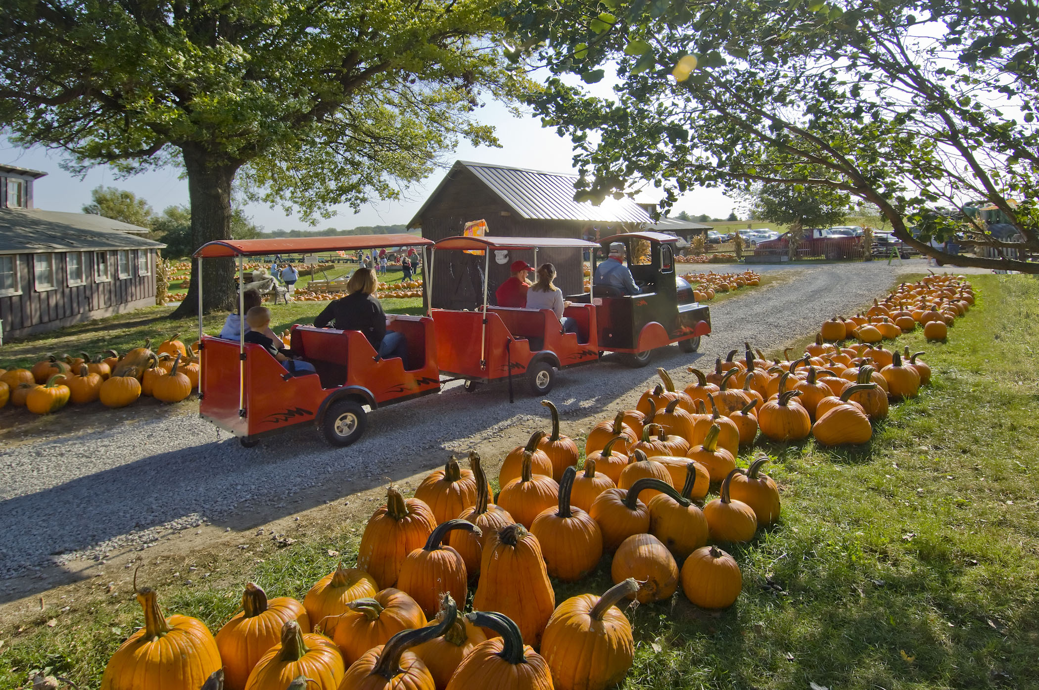 LIST: Pumpkin Patches in the valley