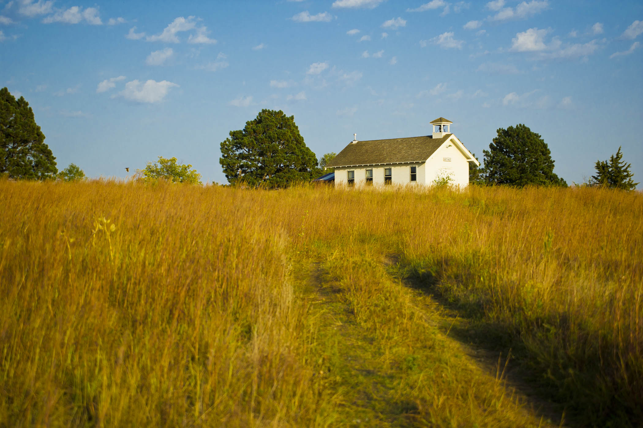 Pioneer Park Prairie