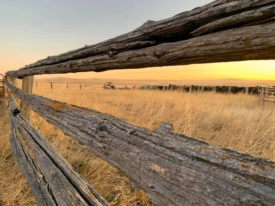 Wooden Fence with Prairie in Background