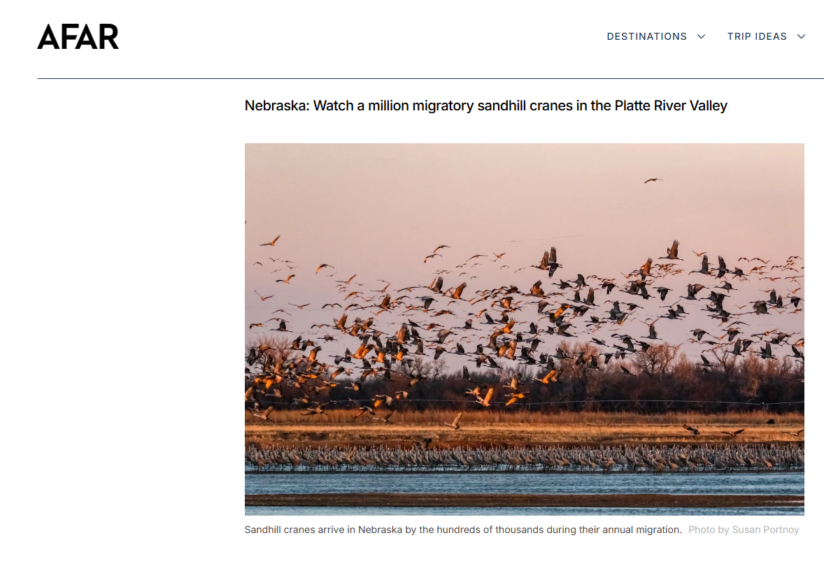 sandhill crane migration