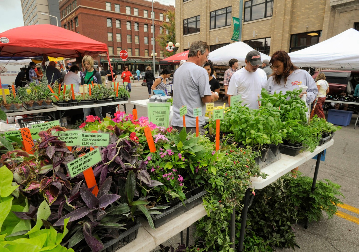Shoppers browse plants and herbs for sale at Lincoln, Nebraska's Haymarket Farmers Market.