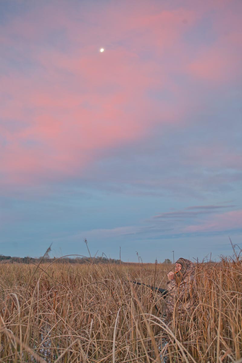 Hunter in field