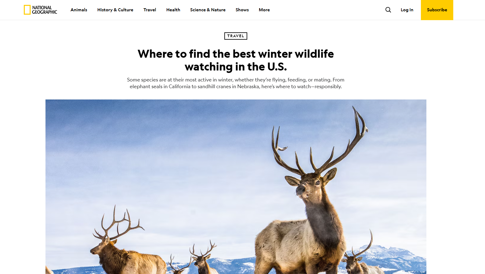 Where to find the best winter wildlife watching in the U.S.