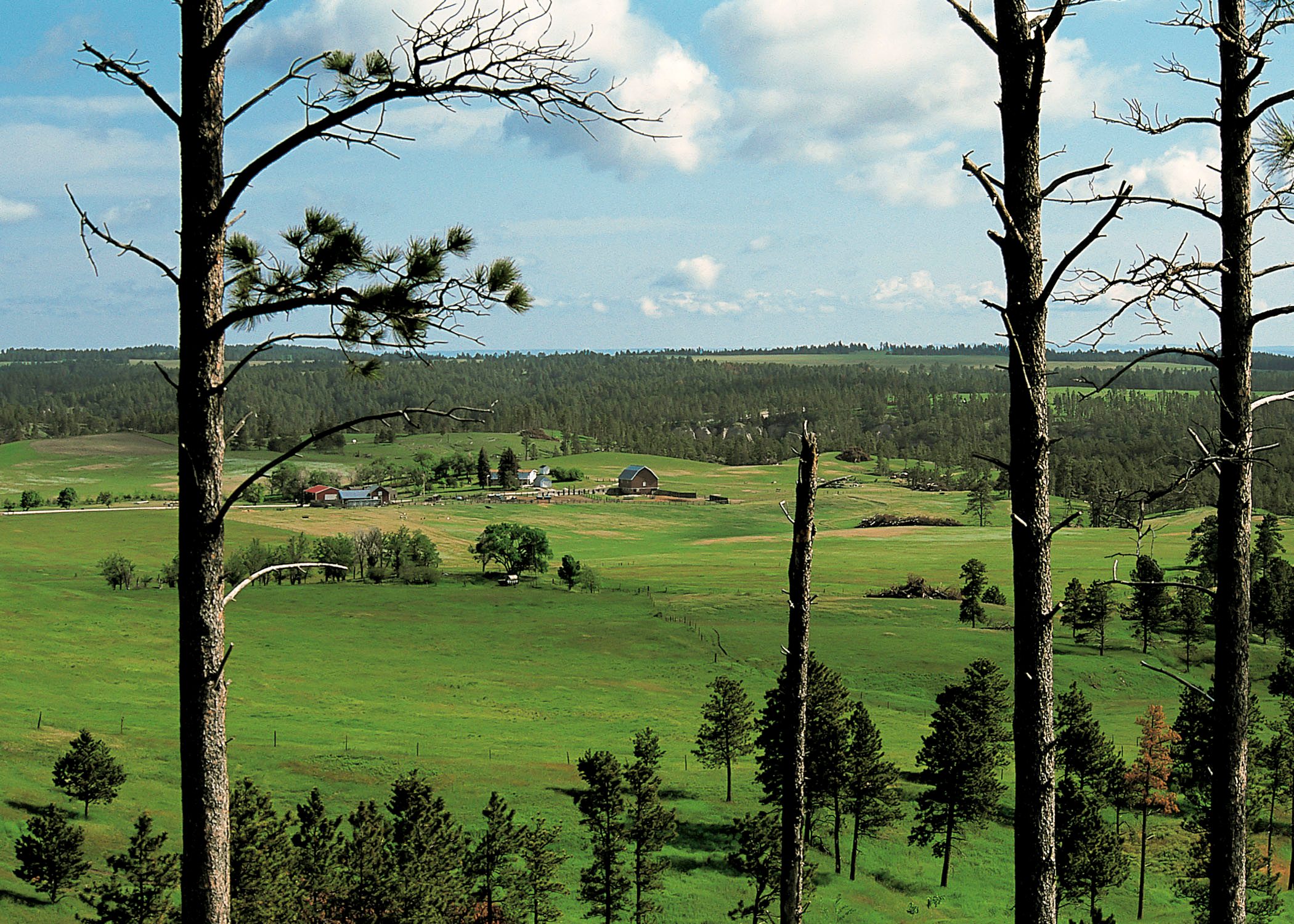 Nebraska National Forest Pine Ridge
