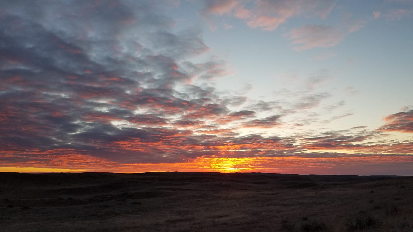 Sandhills