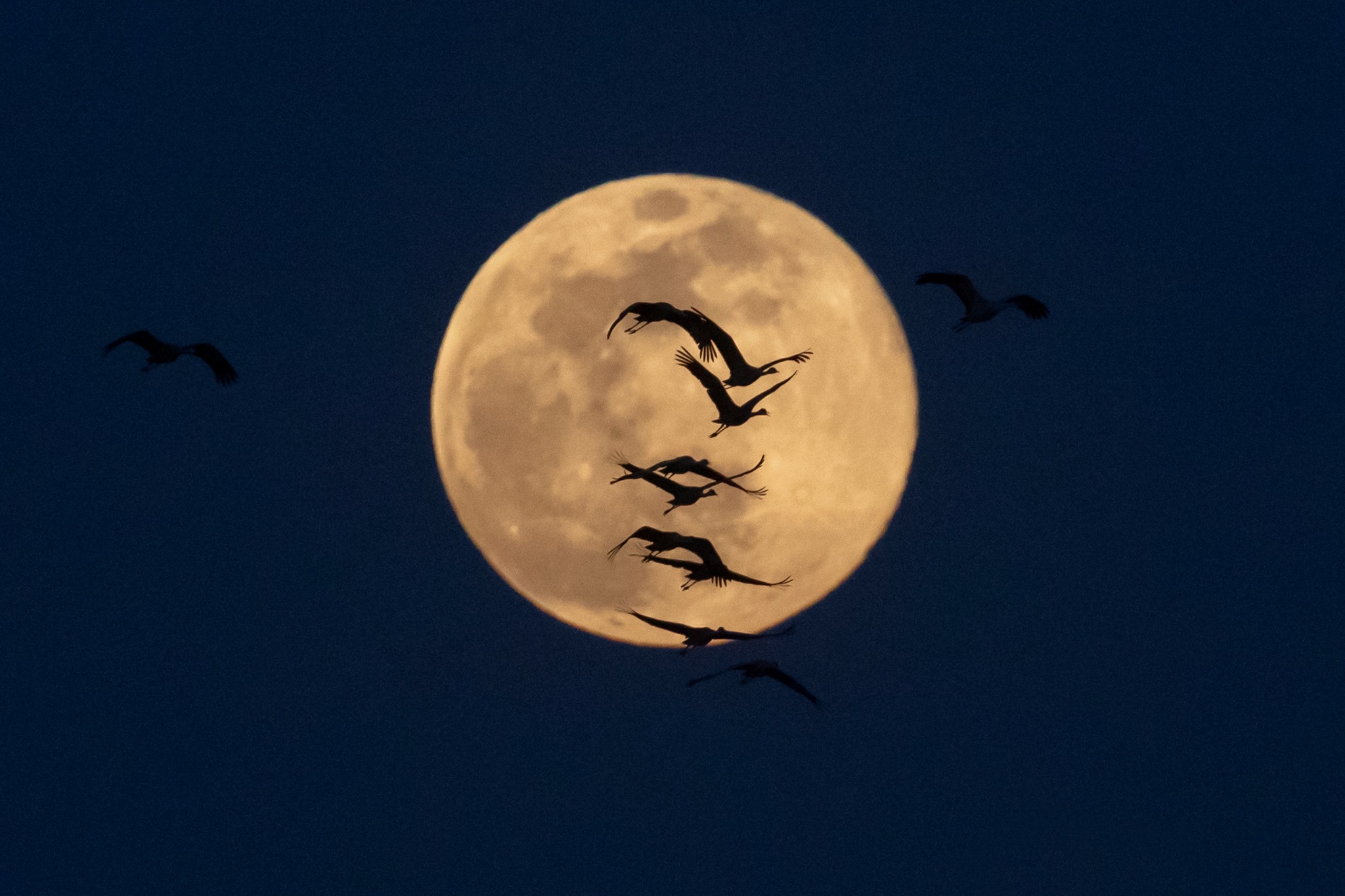 Super Moon