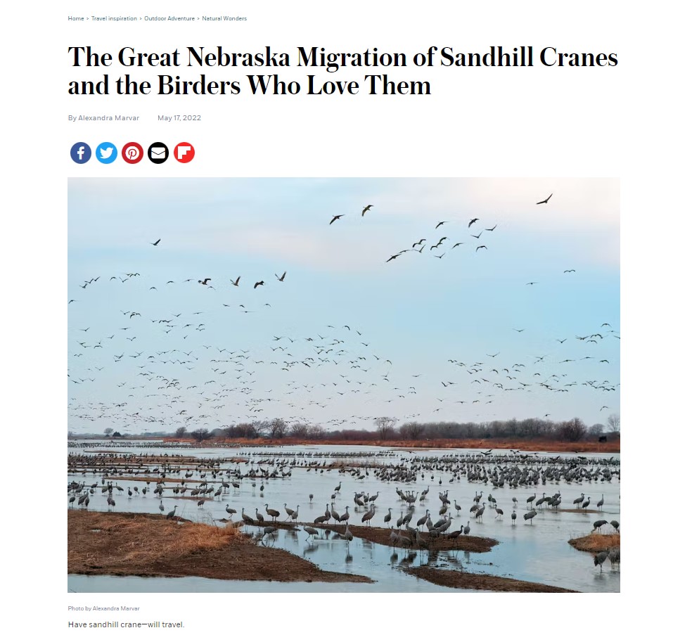 The Great Nebraska Migration of Sandhill Cranes and the Birders Who