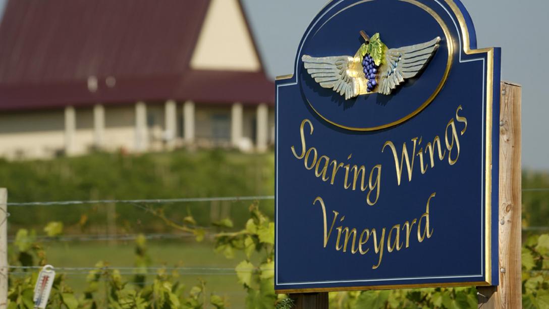 soaring wings vineyard