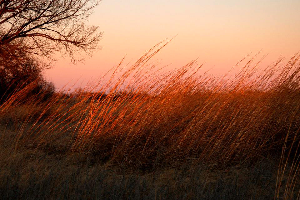 TownsleyMurdock Immigrant Trail Site (Grand Island)