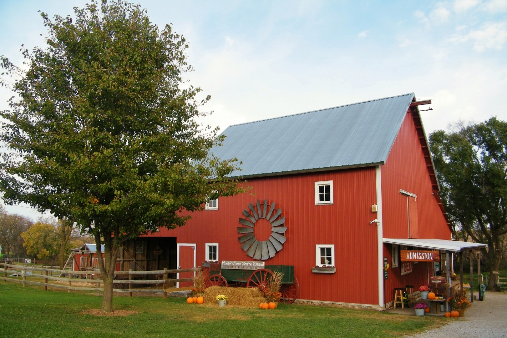 Bloom Where You're Planted Farm and Pumpkin Patch (Avoca