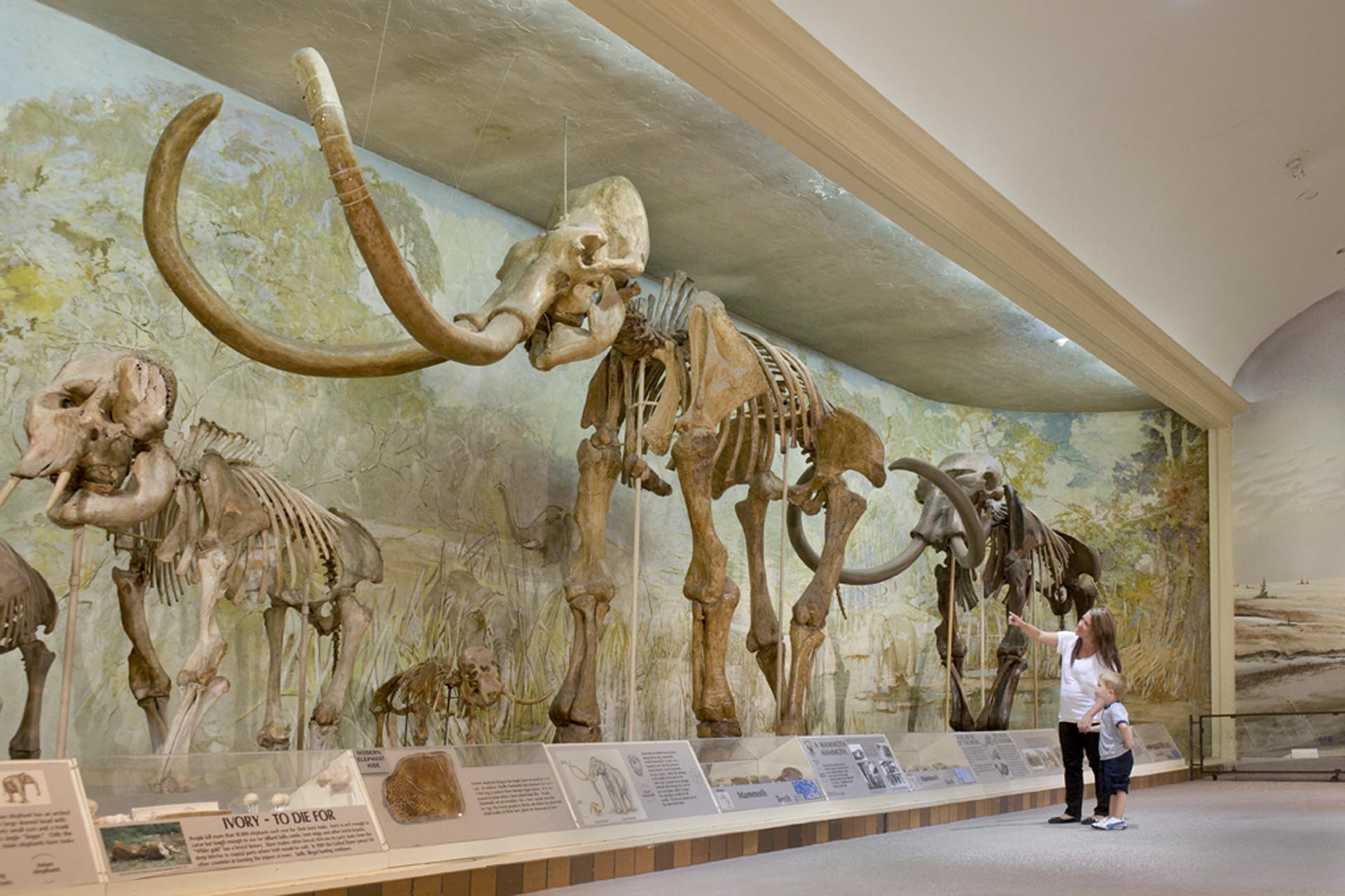 University Of Nebraska State Muesum Tour