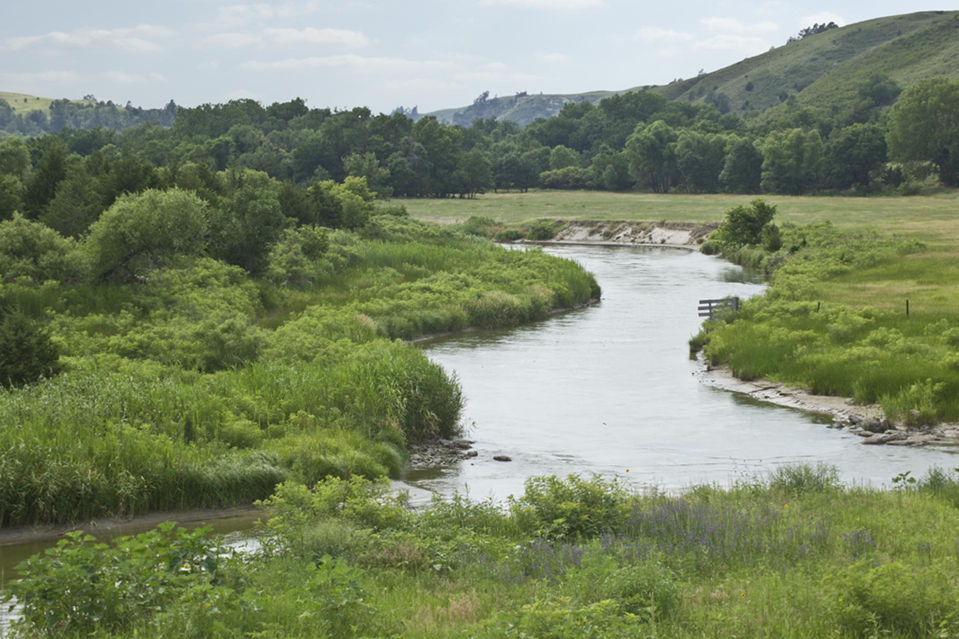 Steer Creek Campground: Nebraska’s Hidden Gem
