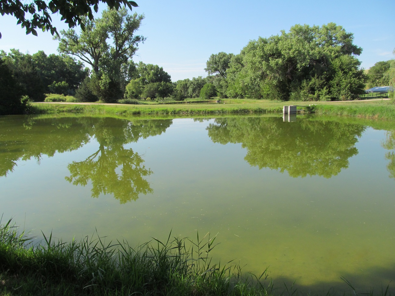 Rock Creek State Fish Hatchery