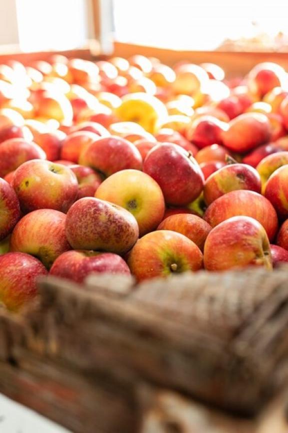 Fuel Your Fall with These Nebraska Delights Visit Nebraska