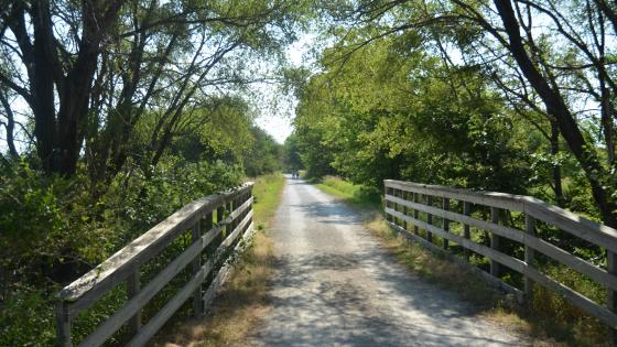 MoPac East Trail