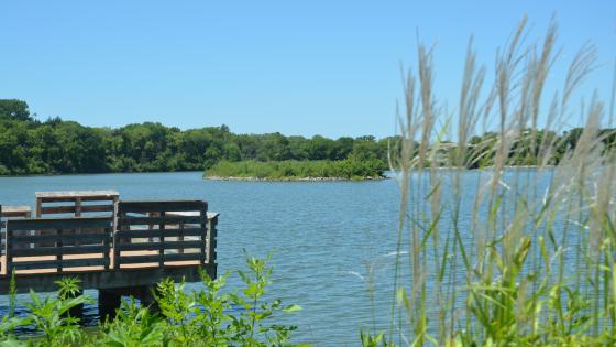 Wildwood Lake Wildlife Management Area