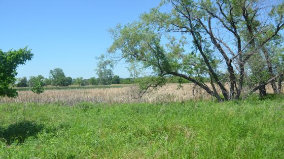 Lincoln Saline Wetland Nature Center