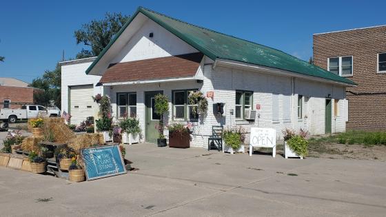 The Plant Stand