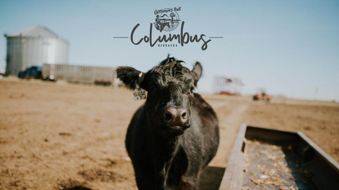 Cattlemen's Ball of Nebraska