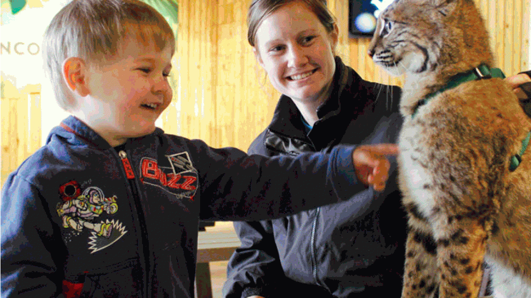 Lincoln Children S Zoo Visitnebraska Com