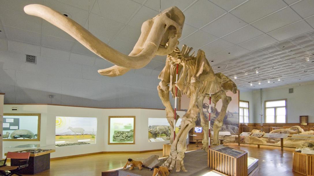 Trailside Museum Of Natural History Visitnebraska Com