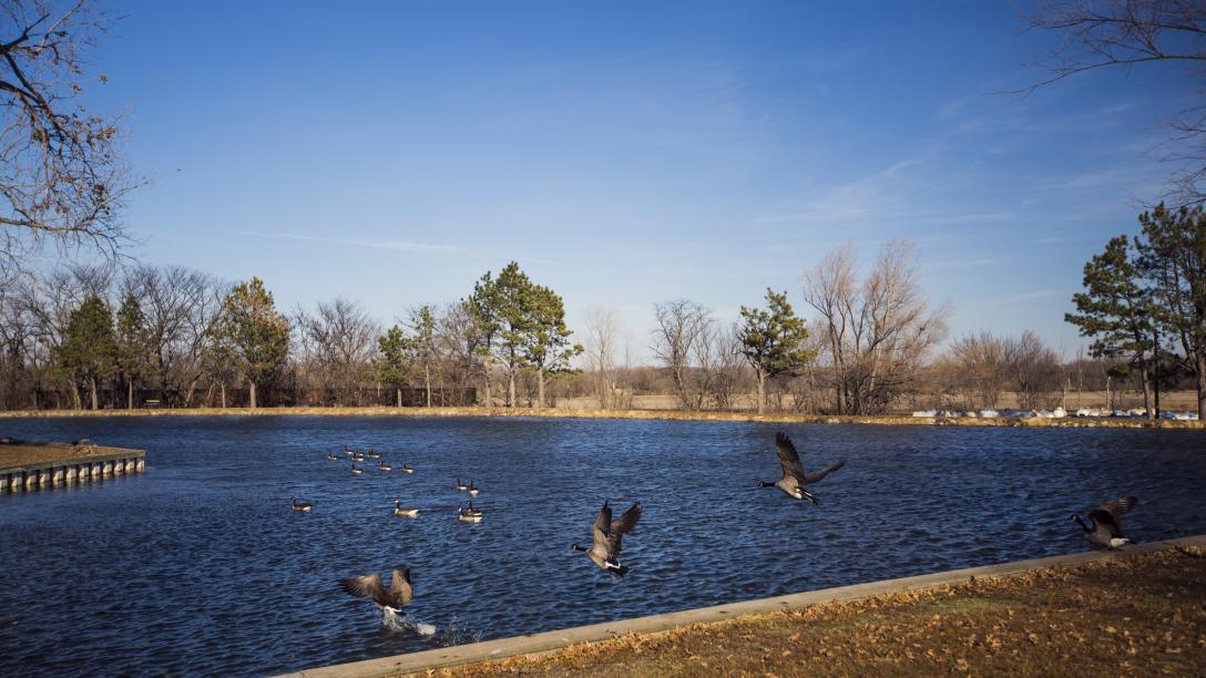 Rotary Island Optimist Lake Visitnebraska Com