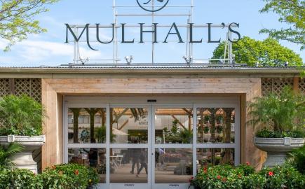 Mulhall's Garden