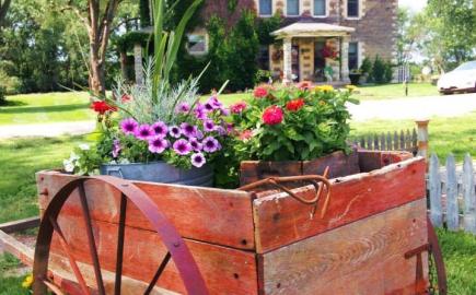 Simpler Thymes Flower Farm
