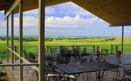 Miletta Vista Winery