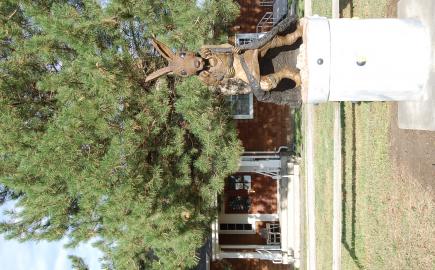 Ponca Tribe of Nebraska
