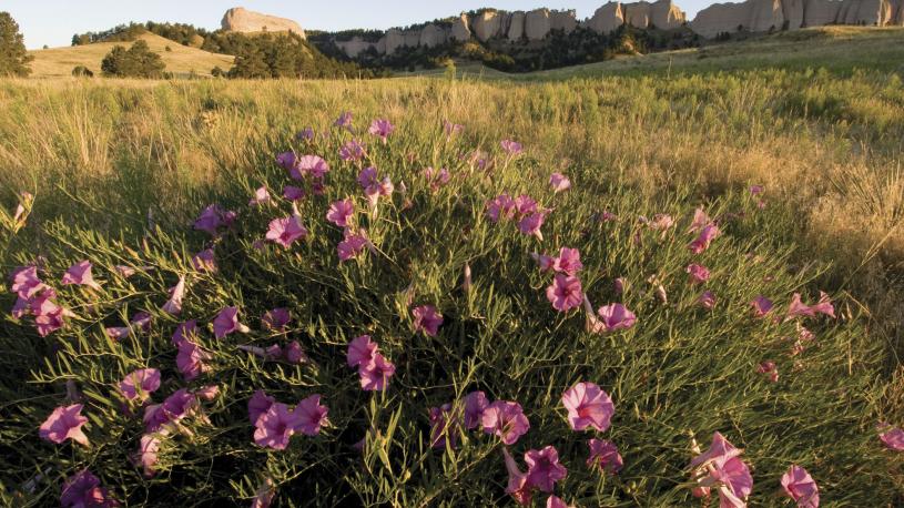Fort Robinson View