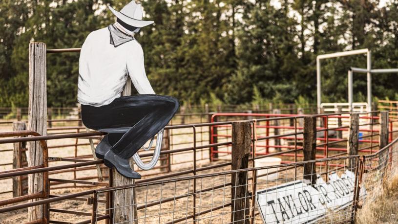 Rodeo Taylor Villagers