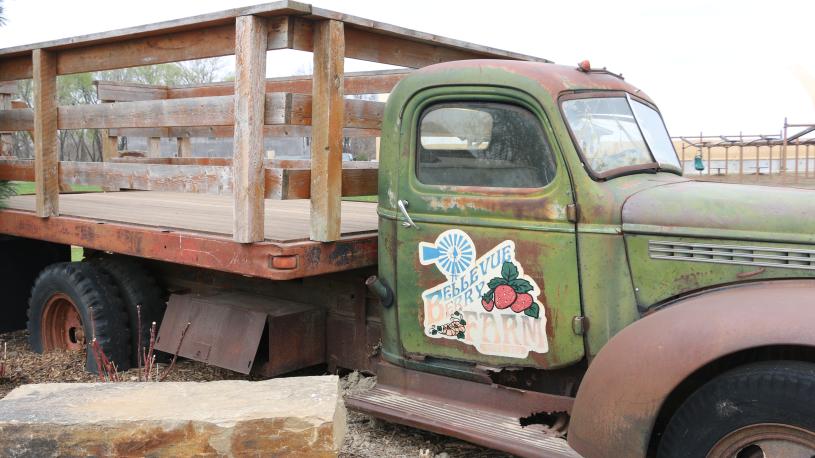 Bellevue Berry Farm