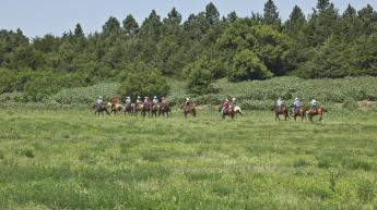 Burwell western store new arrivals