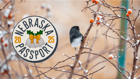 Nebraska Holiday Passport