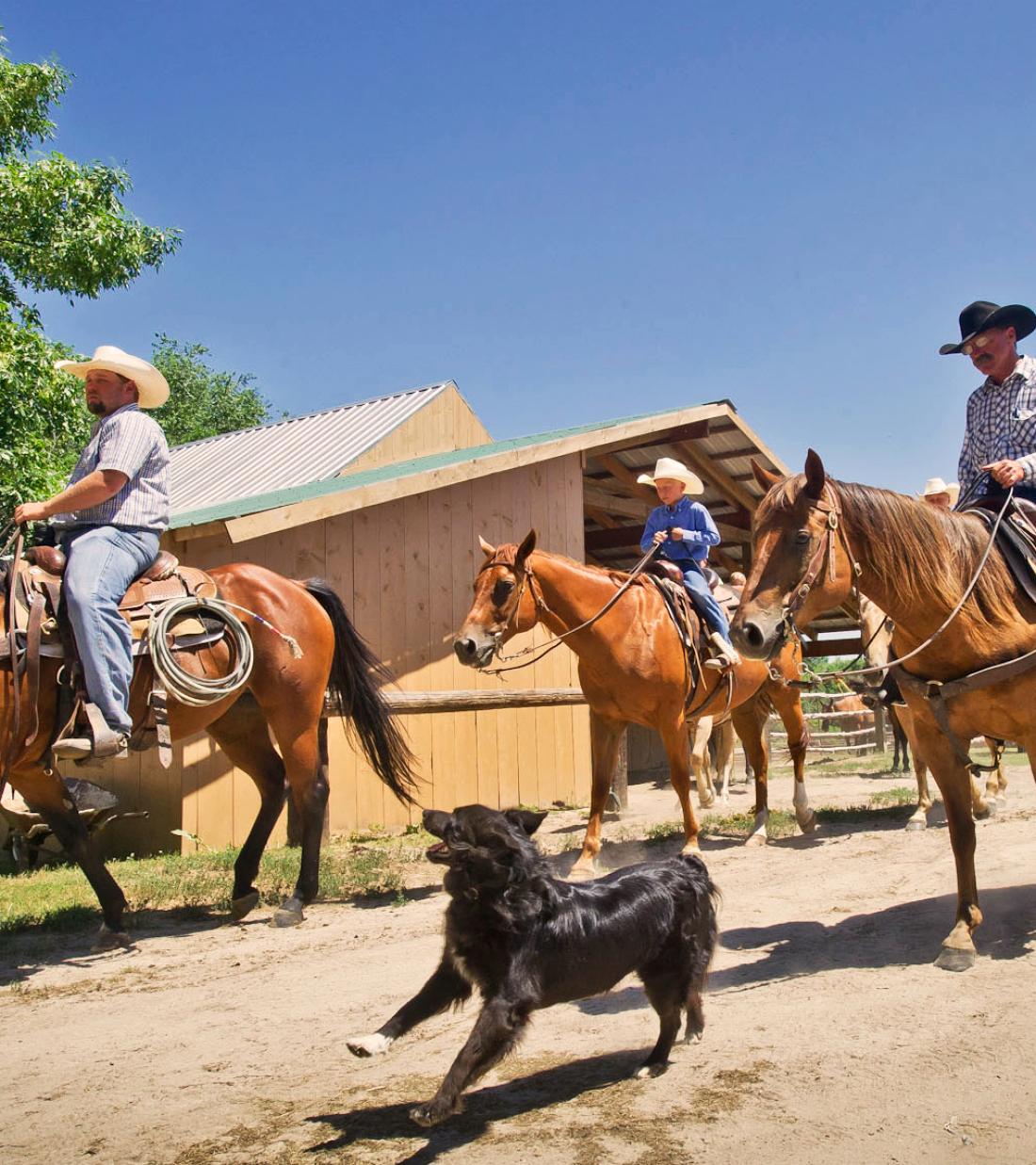 Ranch Stay