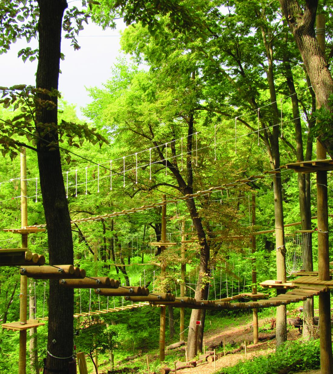 TreeRush Adventures at Fontenelle Forest.