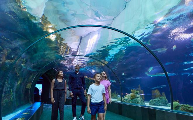 Henry Doorly Zoo and Aquarium