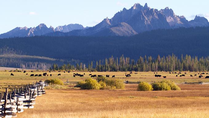Stanley Idaho field and mountains
