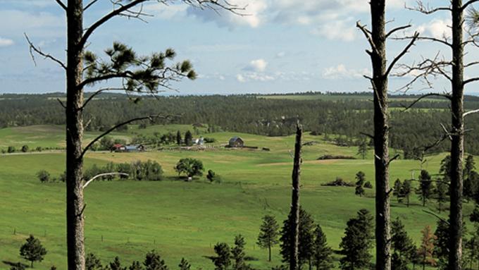 Nebraska_National_Forest_Pine_Ridge