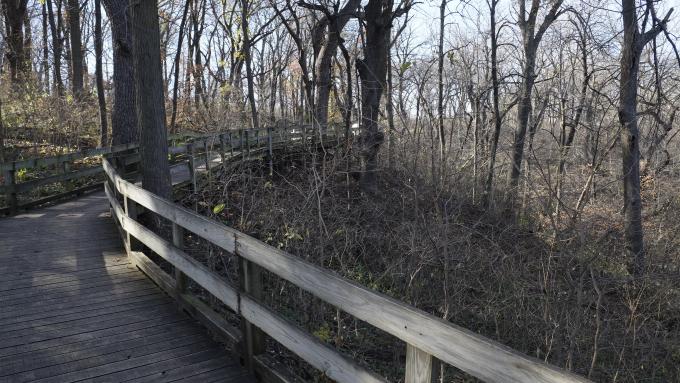 Fontenelle Forest
